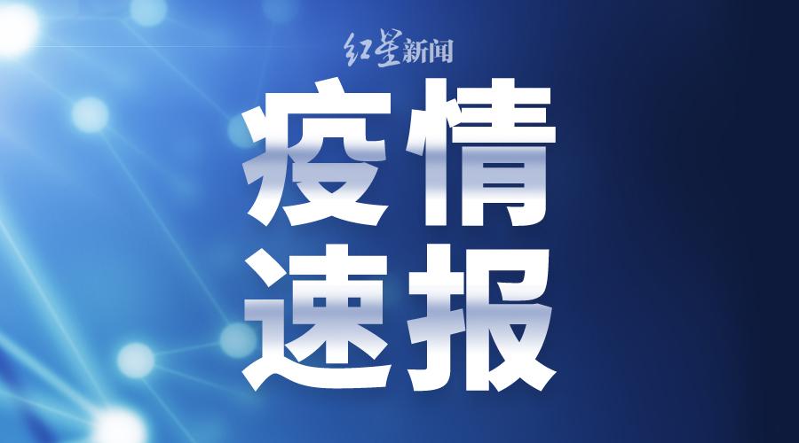 信丰最新新闻,信丰最新新闻报道,活力四溢的城市脉动,信丰最新新闻报道,城市活力四溢的脉动