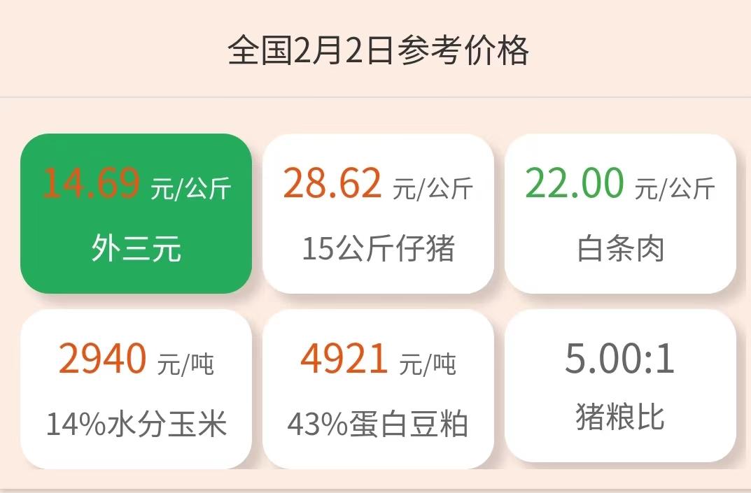 最新苗猪价格,最新苗猪价格动态,市场趋势与影响因素分析,最新苗猪价格动态及市场趋势与影响因素分析