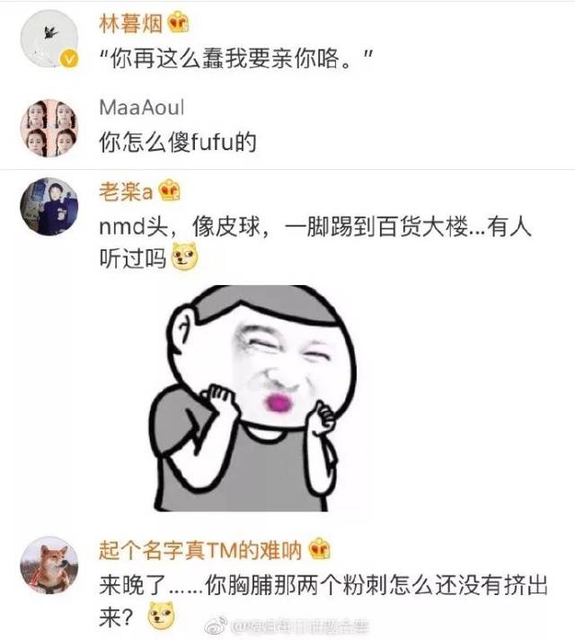 2017最新骂人的话,关于网络语言中的粗鄙之辞,2017最新骂人的话并非可取之处