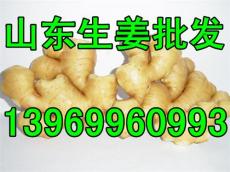 姜价格最新行情,姜价格最新行情,市场走势与影响因素分析,姜价格最新行情及市场走势与影响因素解析