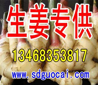 姜价格最新行情,姜价格最新行情,市场走势与影响因素分析,姜价格最新行情及市场走势与影响因素解析