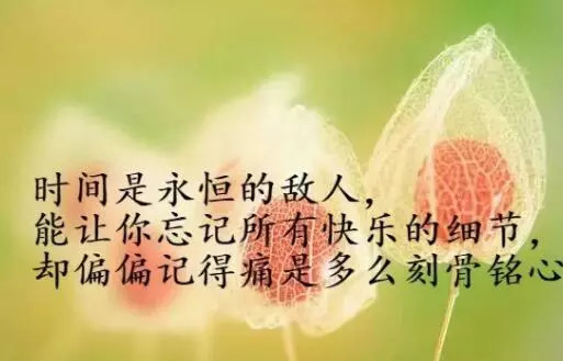 最新说说大全,最新说说大全,生活中的点滴感悟与情感分享,生活中的点滴感悟与情感分享,最新说说大全