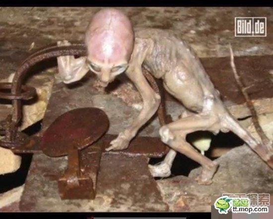 医疗器械 第292页