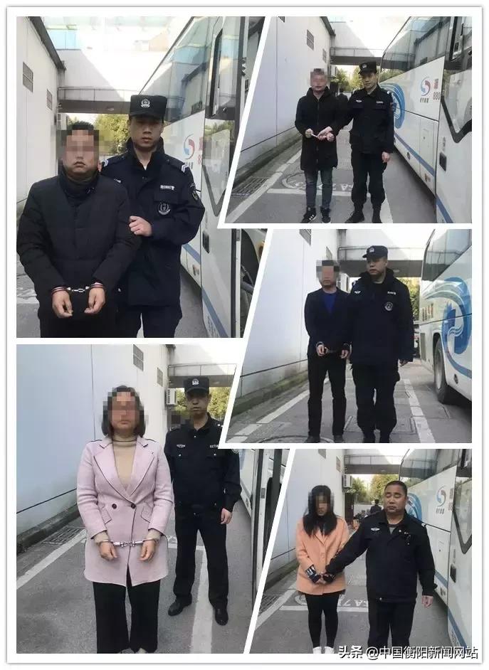 罗田最新招聘,罗田最新招聘,探寻职业发展的新机遇,罗田最新招聘信息,探寻职业发展新机遇