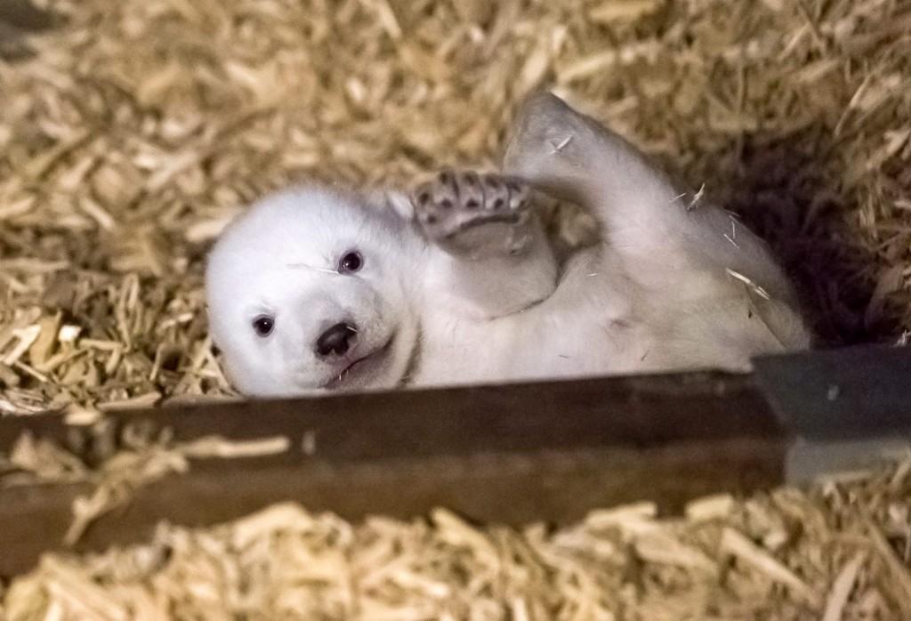 最新取名大全2017,最新取名大全2017,探索个性之名的无限可能,最新取名大全2017,探索个性之名的无限可能