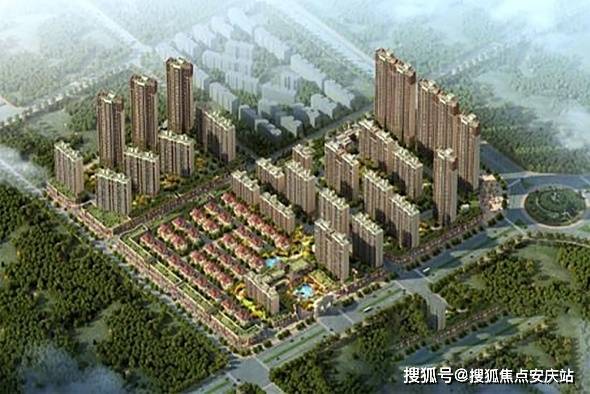 博民生物科技 第311页