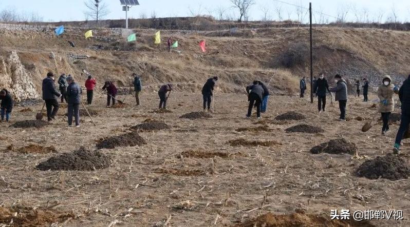 磁县干部调整最新,磁县干部调整最新动态,塑造未来,激发新活力,磁县干部最新调整动态,激发新活力,塑造未来新篇章