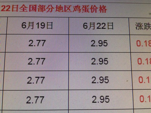 今日最新鸡蛋价格,今日最新鸡蛋价格——市场波动下的民生观察,今日鸡蛋价格动态,市场波动中的民生观察