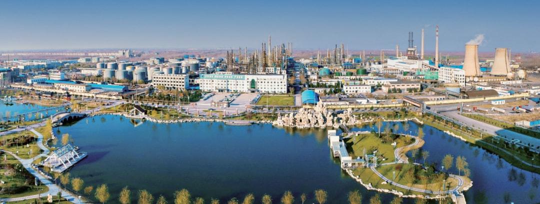 东明西瓜最新价格,东明西瓜最新价格,探寻瓜田里的新鲜动态,东明西瓜最新价格揭秘,探寻瓜田新鲜动态