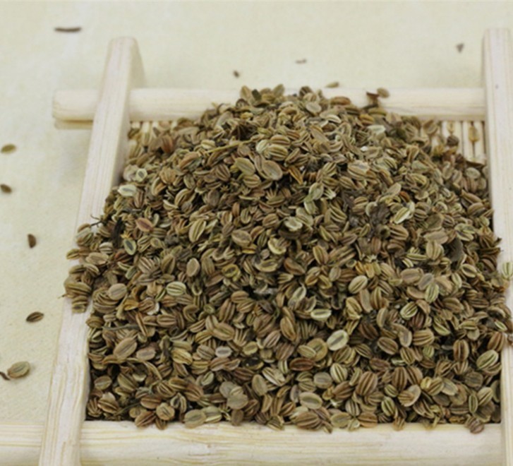 蛇床子最新价格,蛇床子的最新价格,探寻天然植物的价值与变化,探寻蛇床子最新价格,天然植物的价值与变化解析