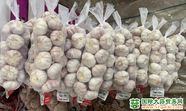 大蒜最新价格国际大蒜网,大蒜最新价格动态及国际大蒜网的影响力,大蒜最新价格动态,国际大蒜网影响力及价格走势分析