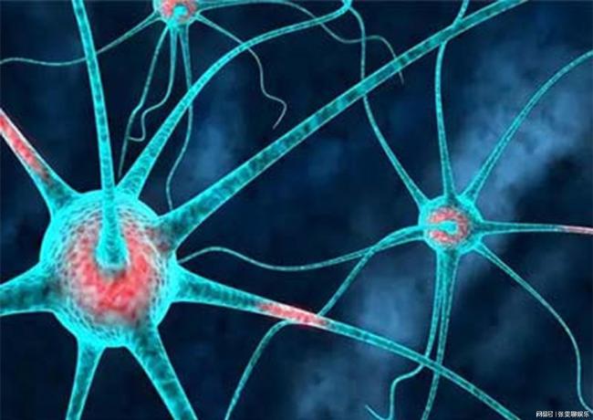 运动神经元病最新治疗方案,运动神经元病最新治疗方案,曙光初现的希望之源,运动神经元病最新治疗方案,曙光初现的希望之源