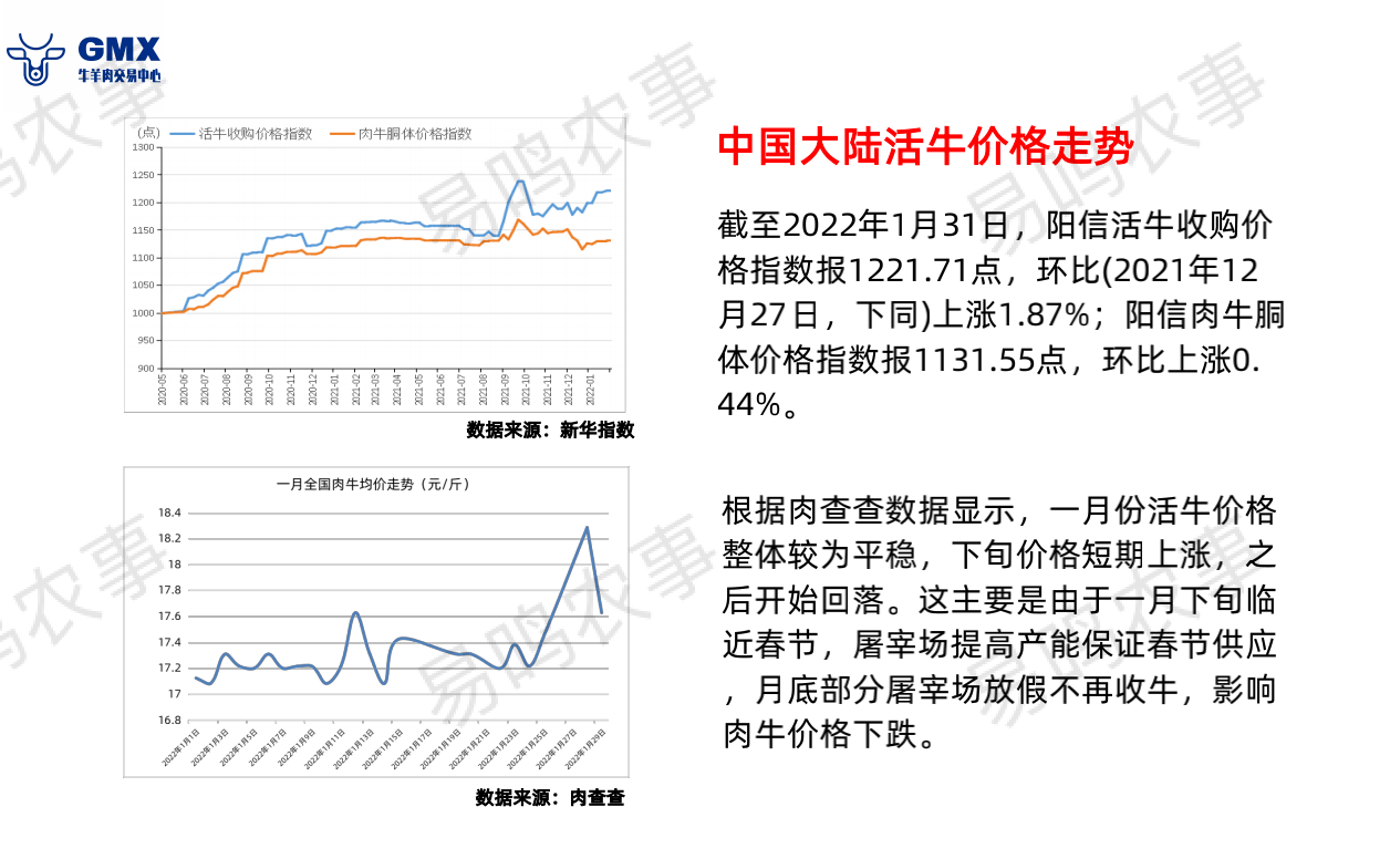 全国牛价最新价格,全国牛价最新价格,市场走势与影响因素分析,全国牛价最新动态,市场走势、影响因素及价格分析