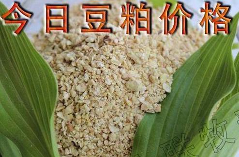 博民生物科技 第272页