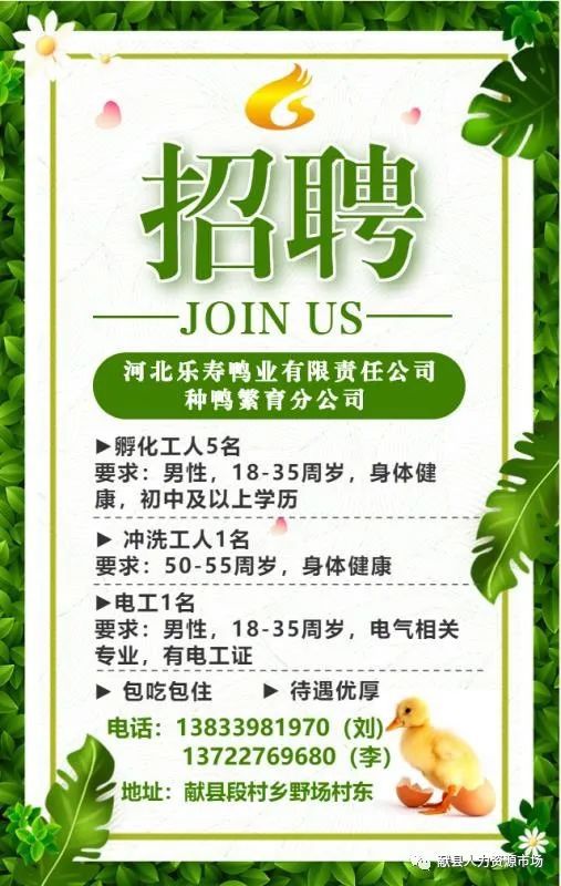 合川招聘网最新招聘,合川招聘网最新招聘,探寻职业发展的热门机会与未来趋势,合川招聘网最新招聘,热门职位与未来趋势探寻,职业发展新机遇!