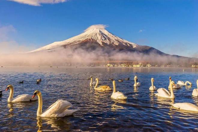 富士山火山最新消息,富士山火山最新消息,自然之力的震撼与人类的关注,富士山火山最新动态,自然震撼与人类关注