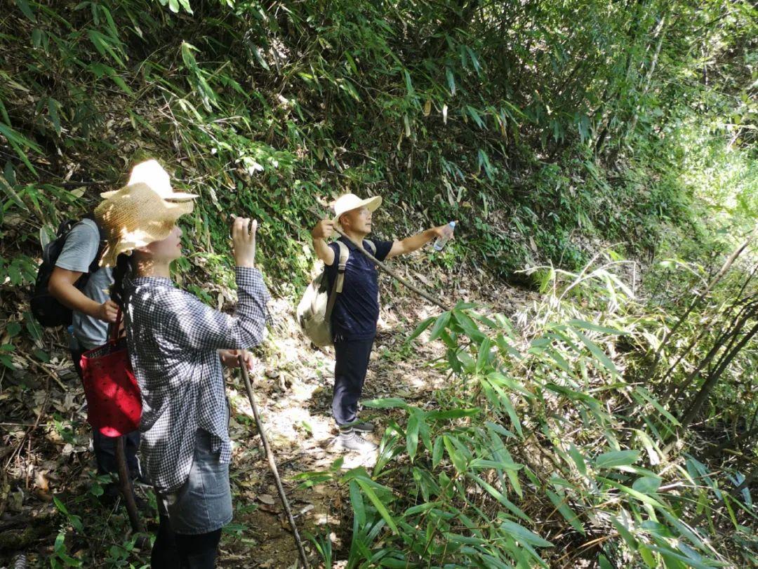 最新版天路,探索最新版天路,一段心灵的旅程,心灵之旅,探索最新版天路之旅