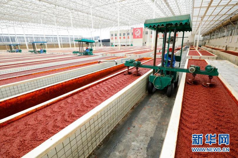 郫县确诊病例最新,郫县疫情防控最新动态,确诊病例情况与公众应对策略,郫县疫情最新动态,确诊病例情况及公众应对策略