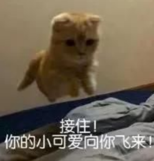 发给对象表情包最新,发给对象表情包最新指南,用表情传递情感的无限可能,用表情传递情感,最新表情包指南,为对象送上无限可能的情感表达