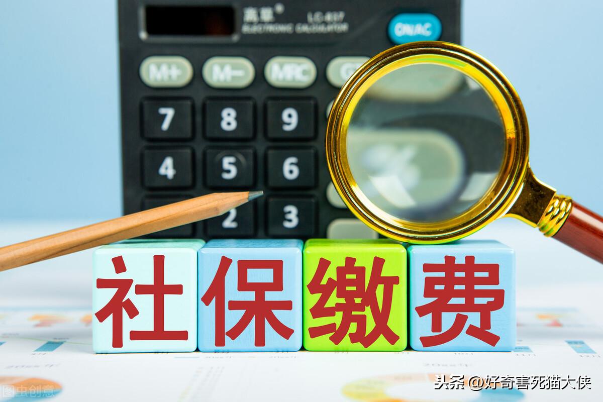 “4050人员最新政策解读”,关于4050人员最新政策解读的文章解读，关于4050人员最新政策解读的文章解读与探讨