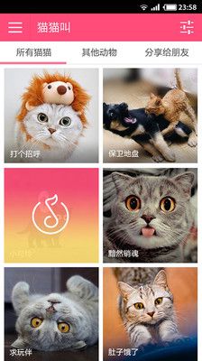 猫咪软件最新版下载,探索猫咪软件最新版下载，与猫咪的虚拟互动之旅，猫咪软件最新版下载，开启与猫咪的虚拟互动之旅