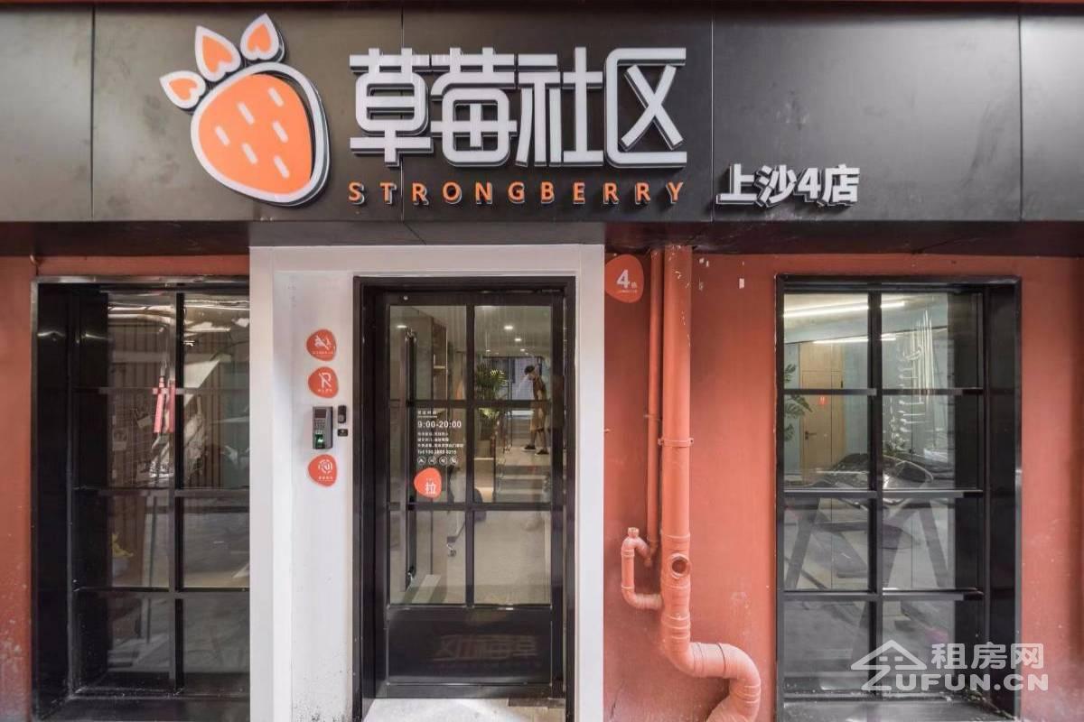 草社区最新入口,草社区最新入口，绿色生活的探索与共鸣