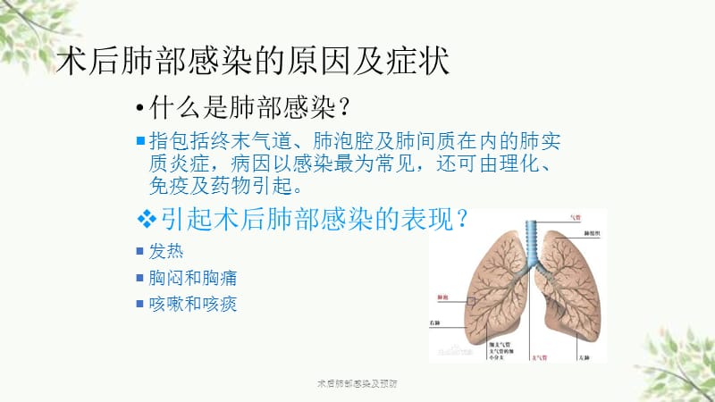口腔卫生用品 第162页