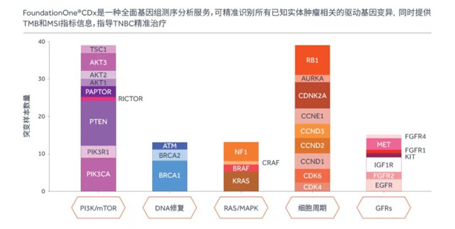 口腔卫生用品 第159页